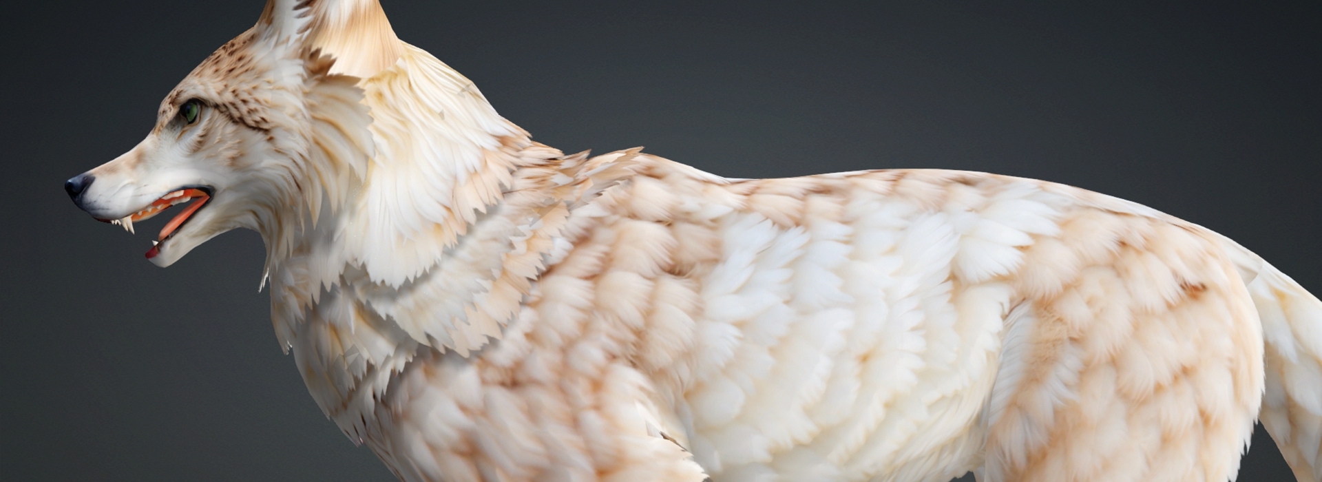 Product banner image