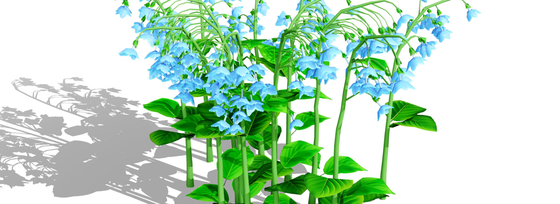 Product banner image