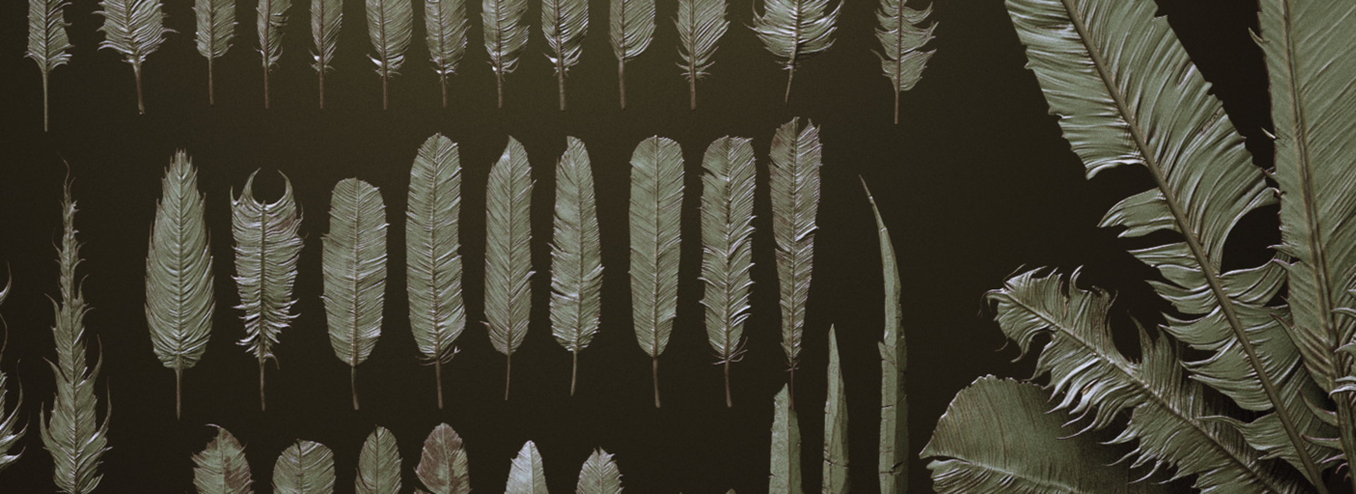 Product banner image