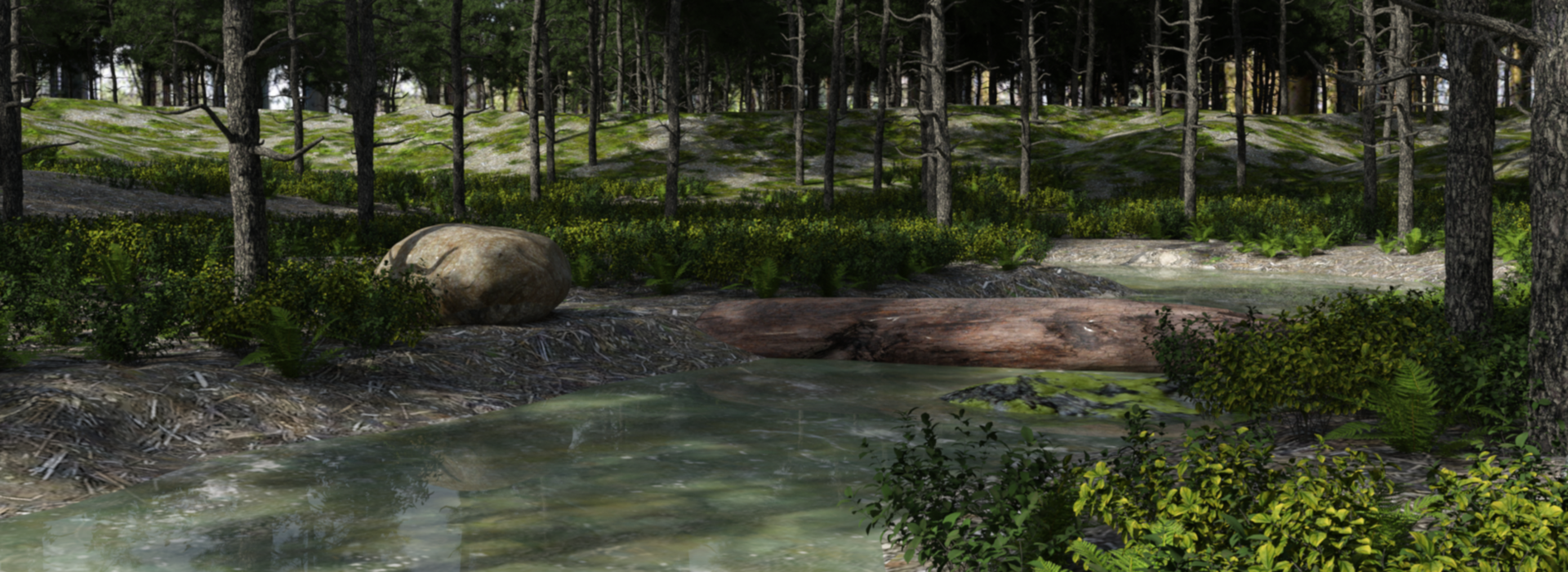Product banner image