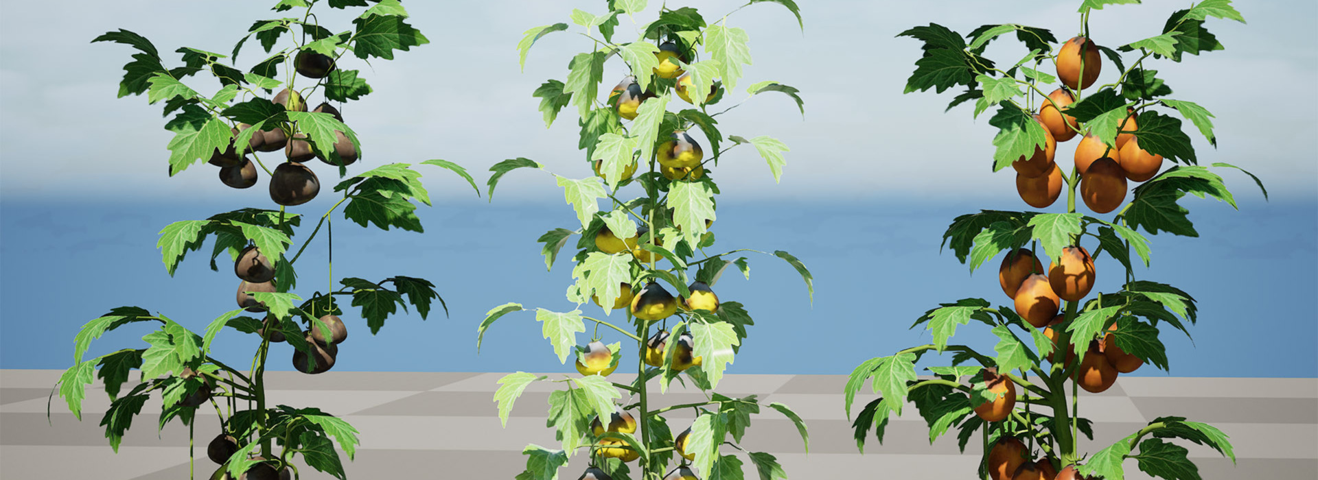 Product banner image