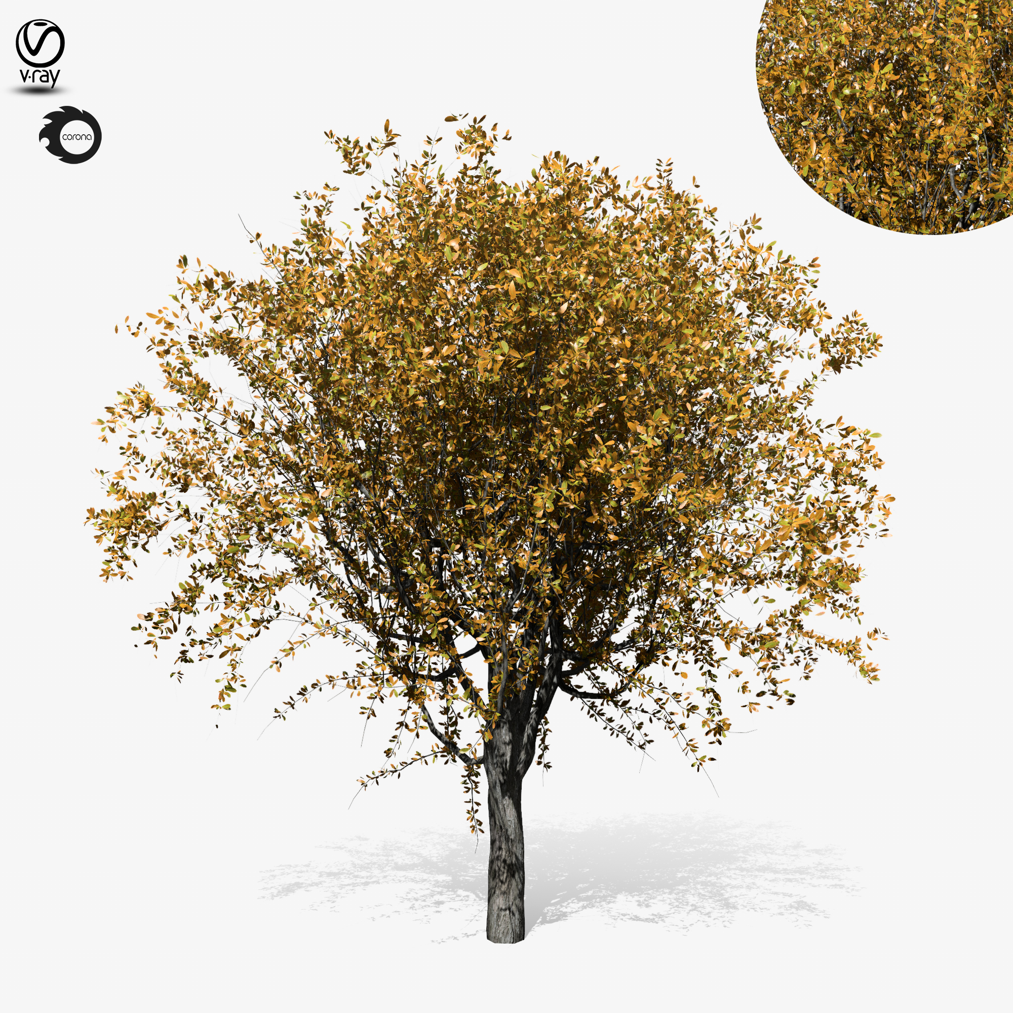 Product banner image