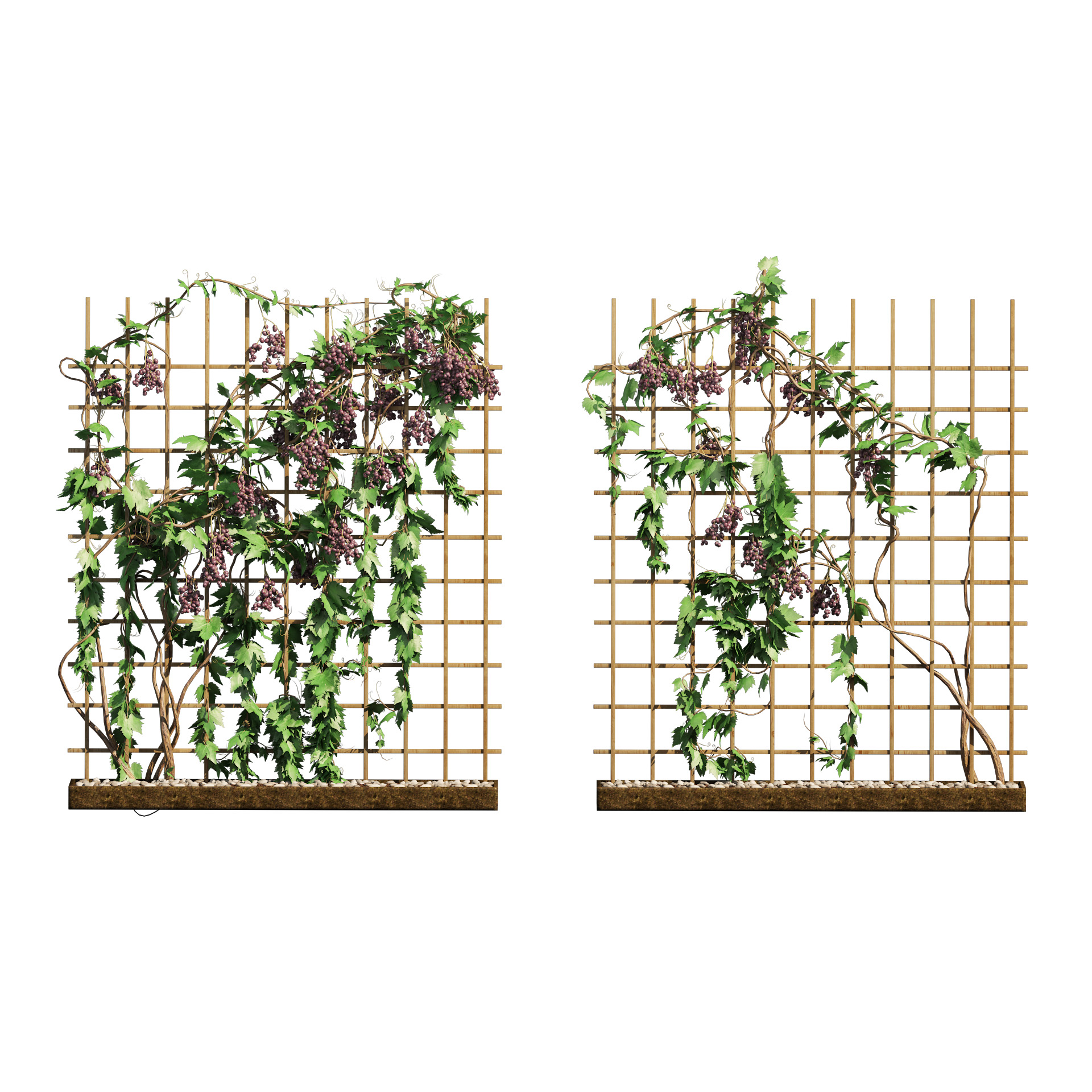 Product banner image