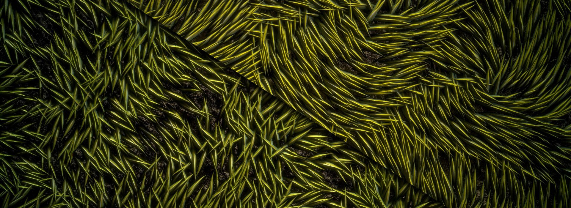 Product banner image