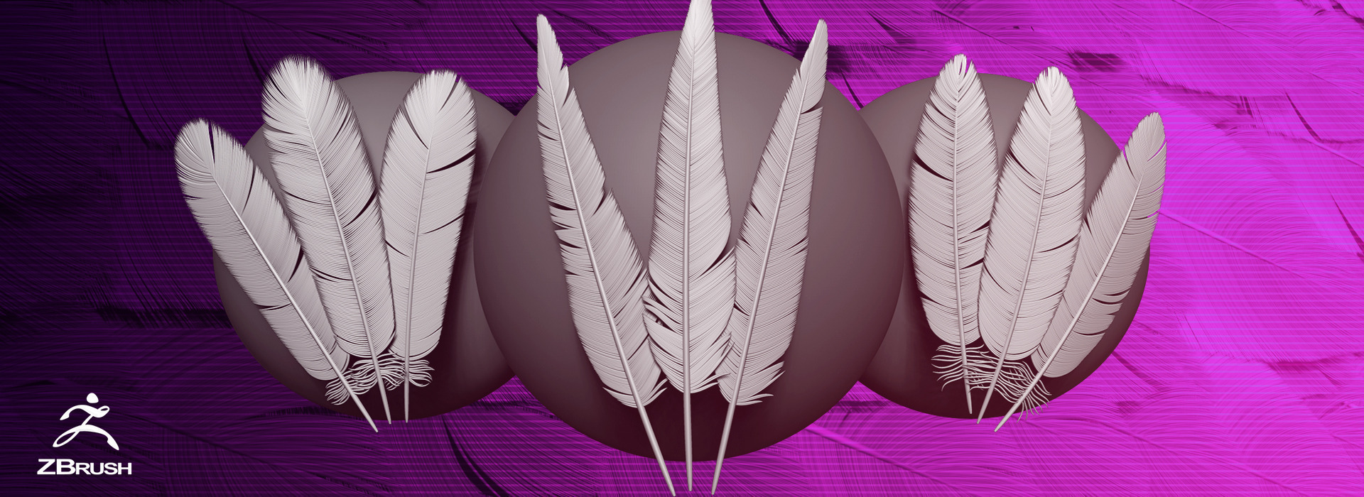 Product banner image