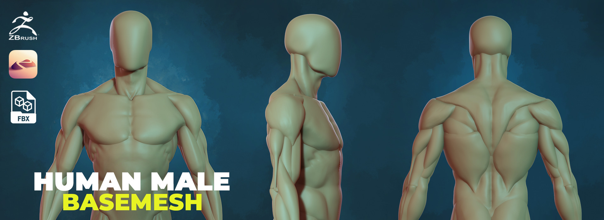 Product banner image