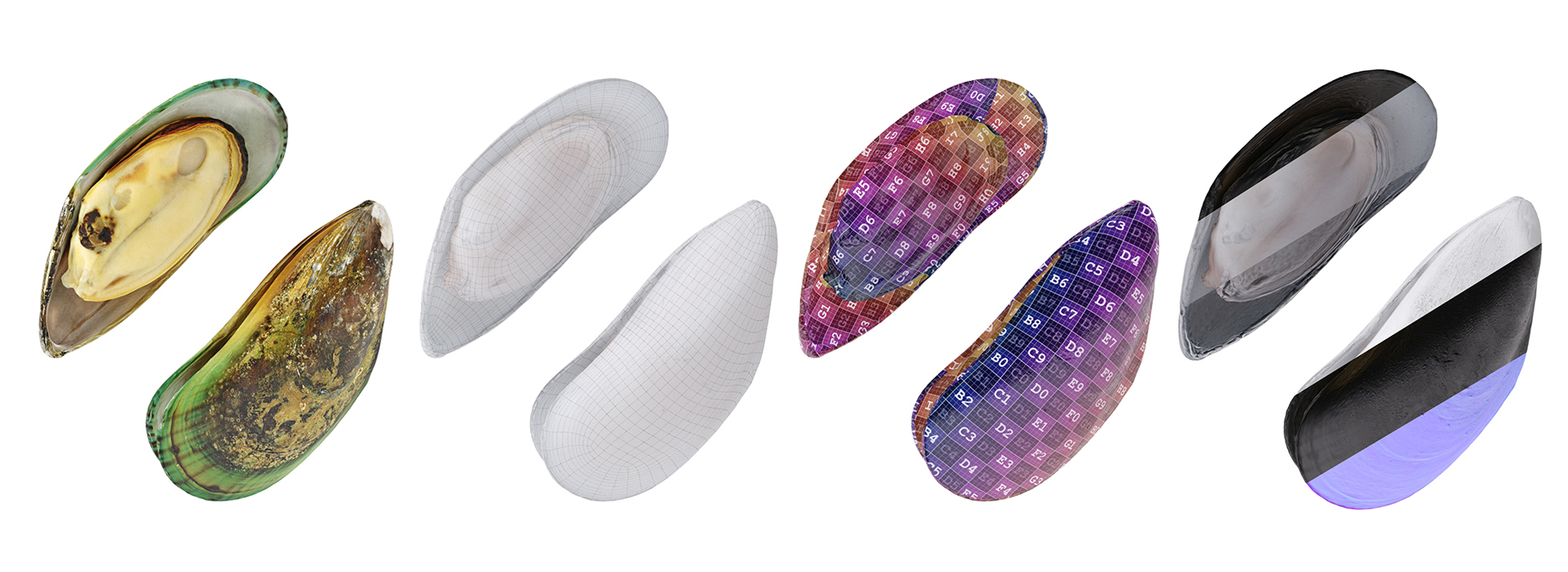 Product banner image