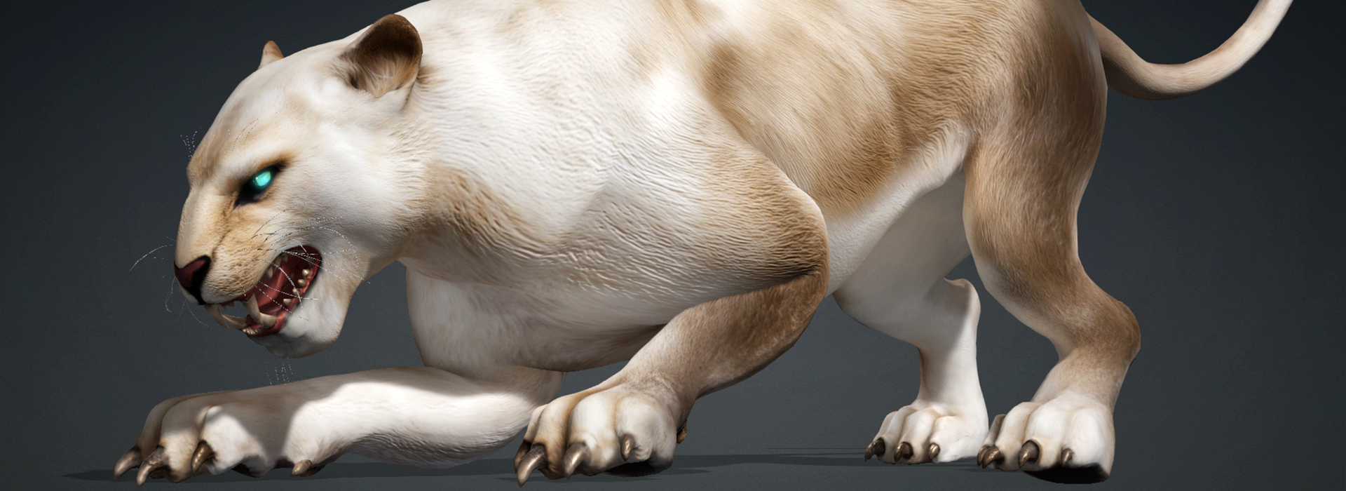 Product banner image