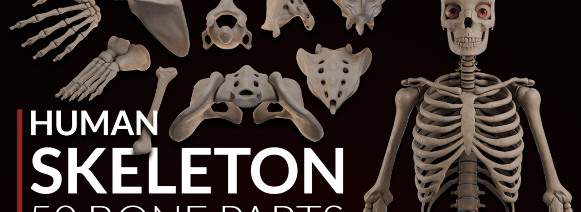 Product banner image