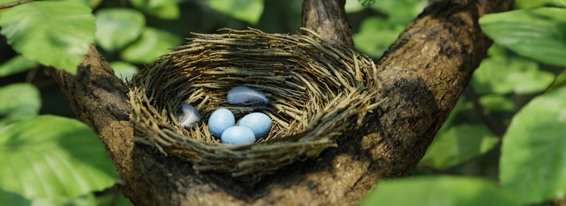 Product banner image