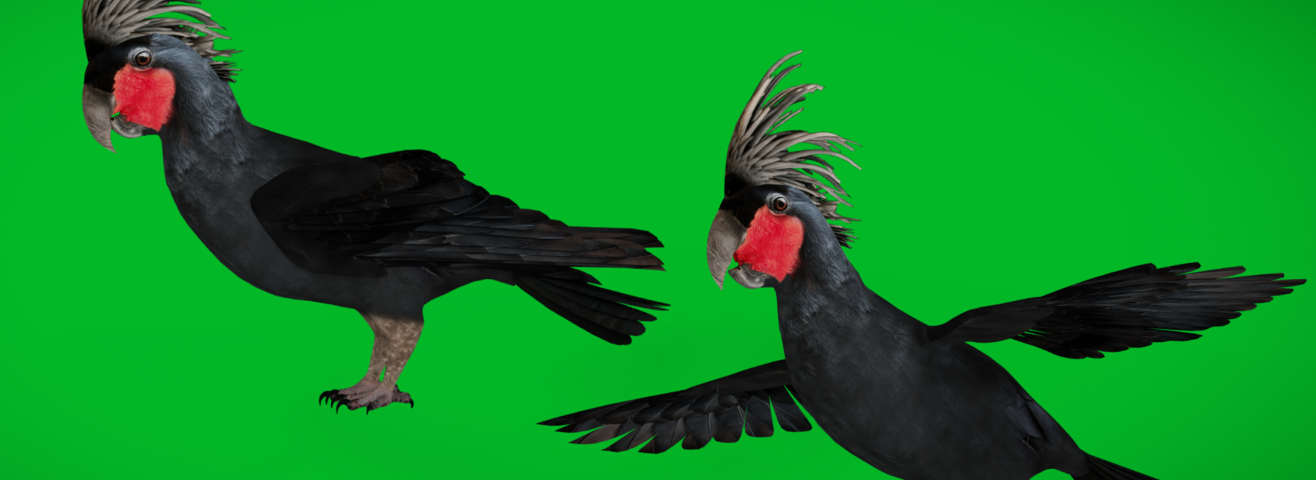 Product banner image