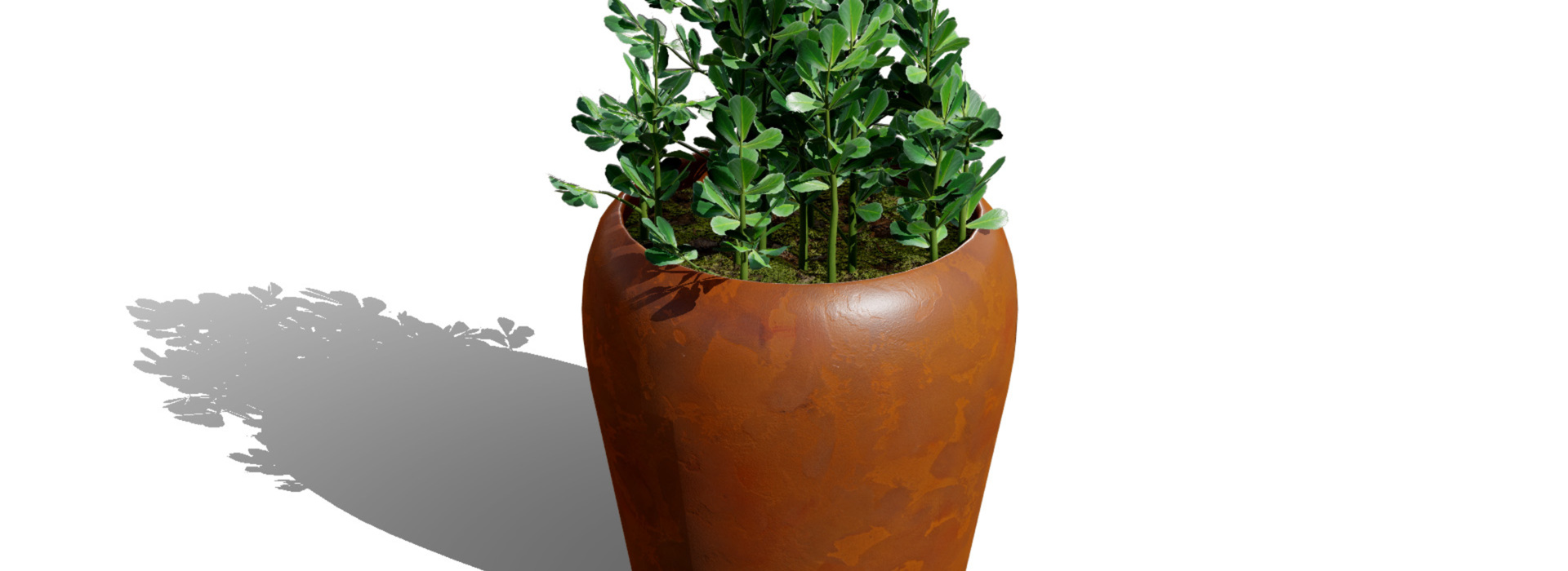 Product banner image