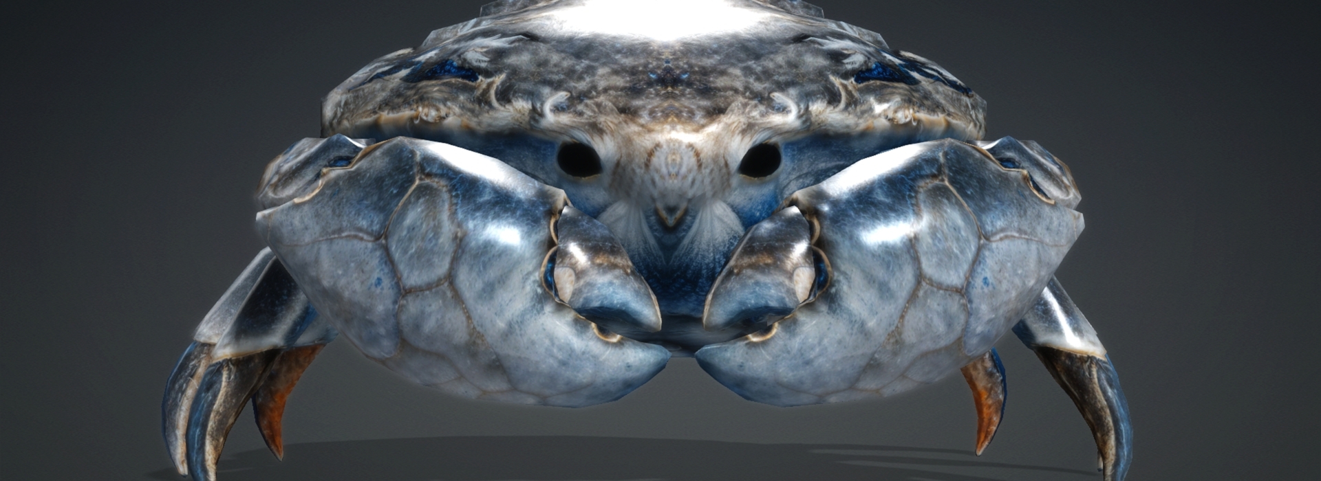 Product banner image
