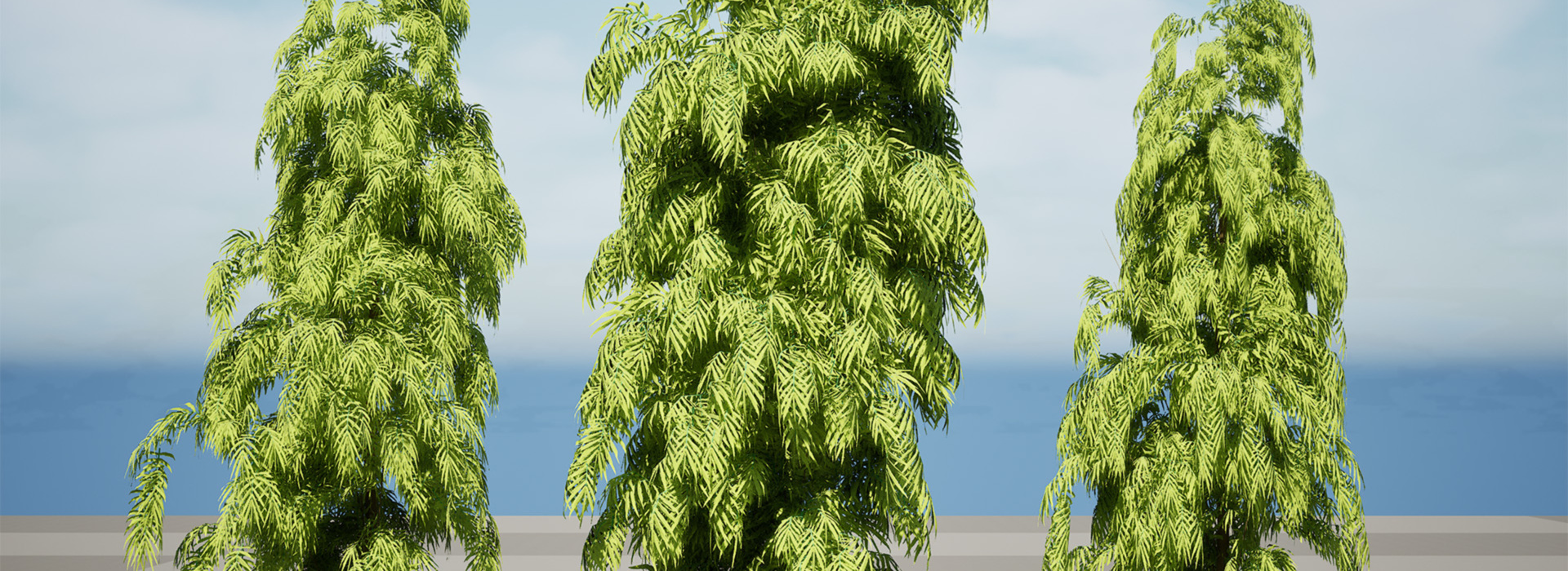 Product banner image