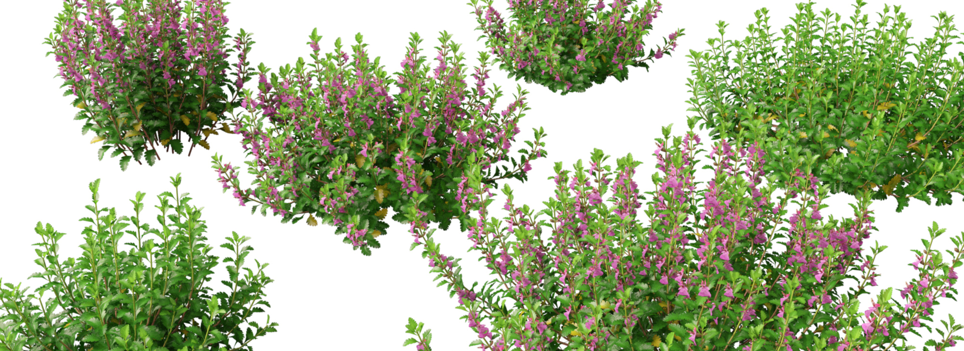 Product banner image