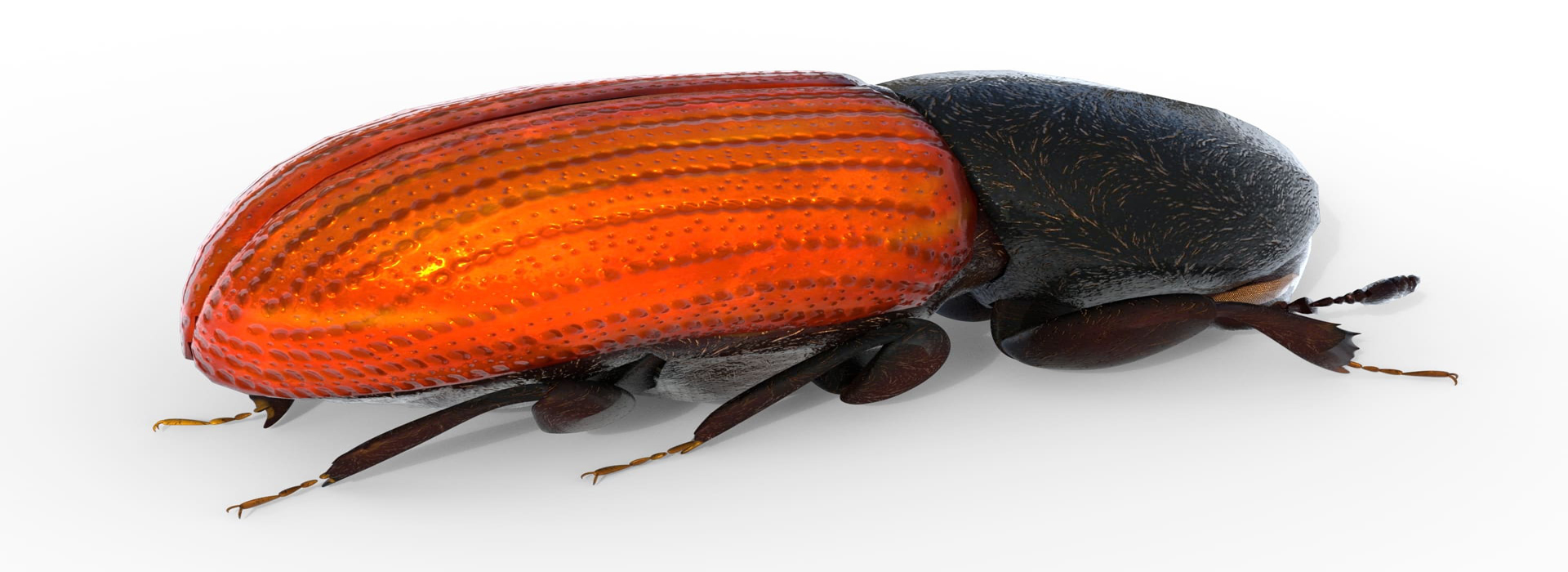 Product banner image