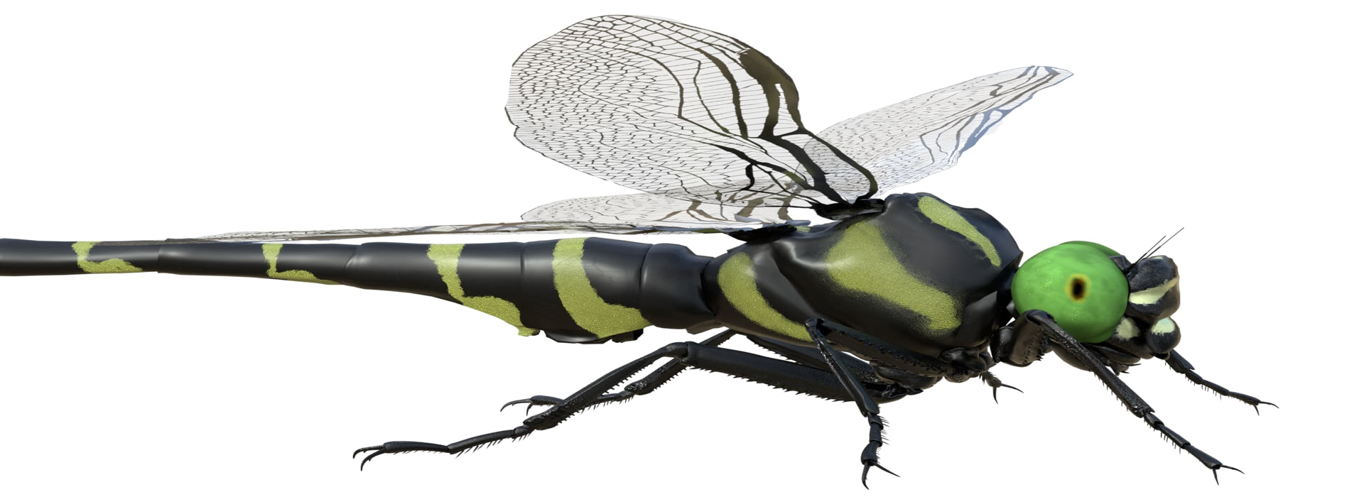 Product banner image