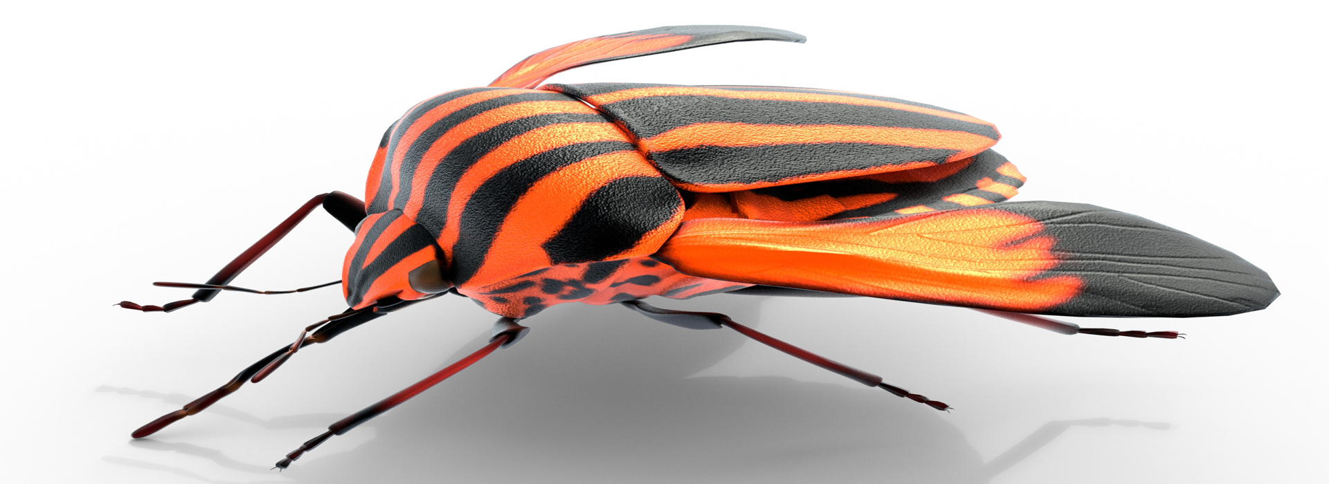 Product banner image