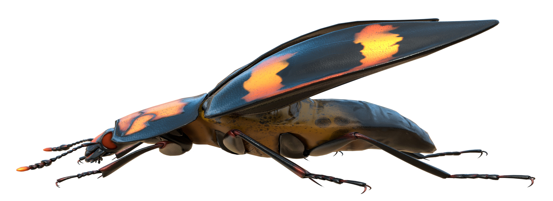 Product banner image