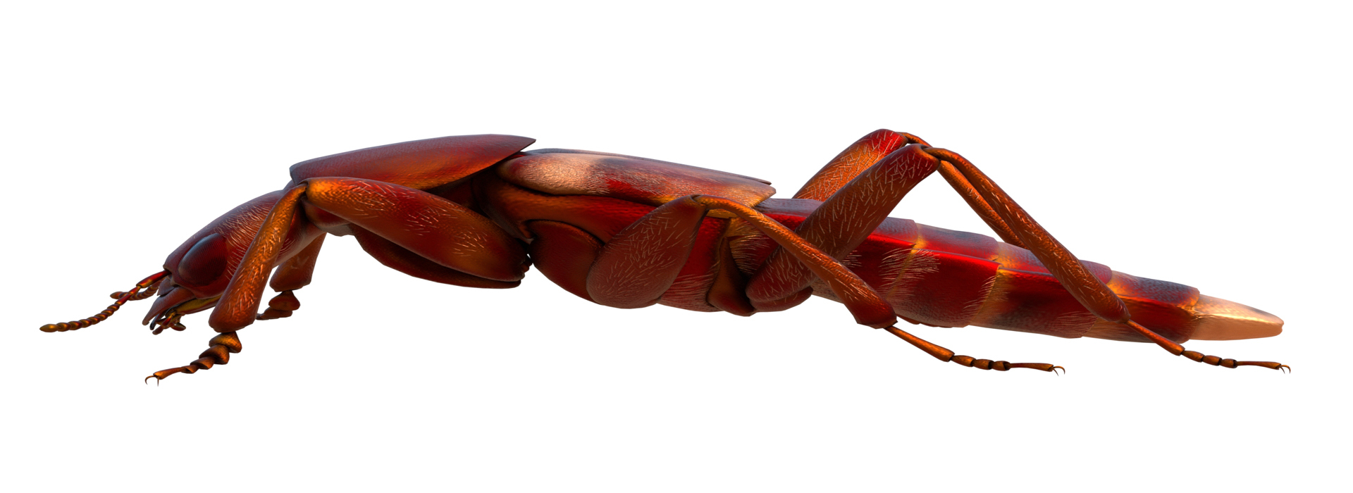 Product banner image