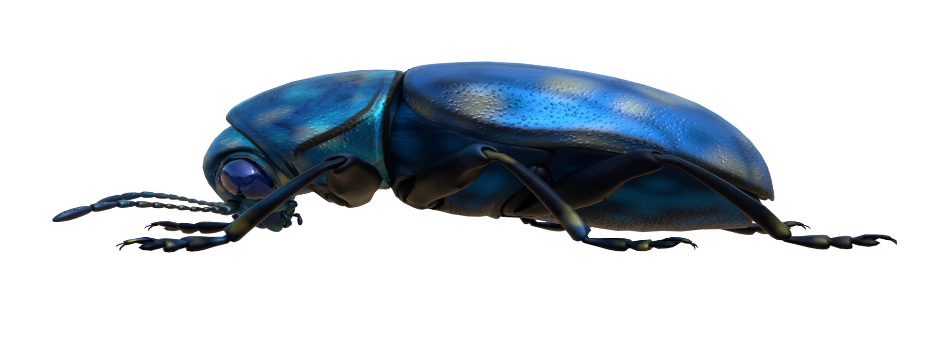 Product banner image