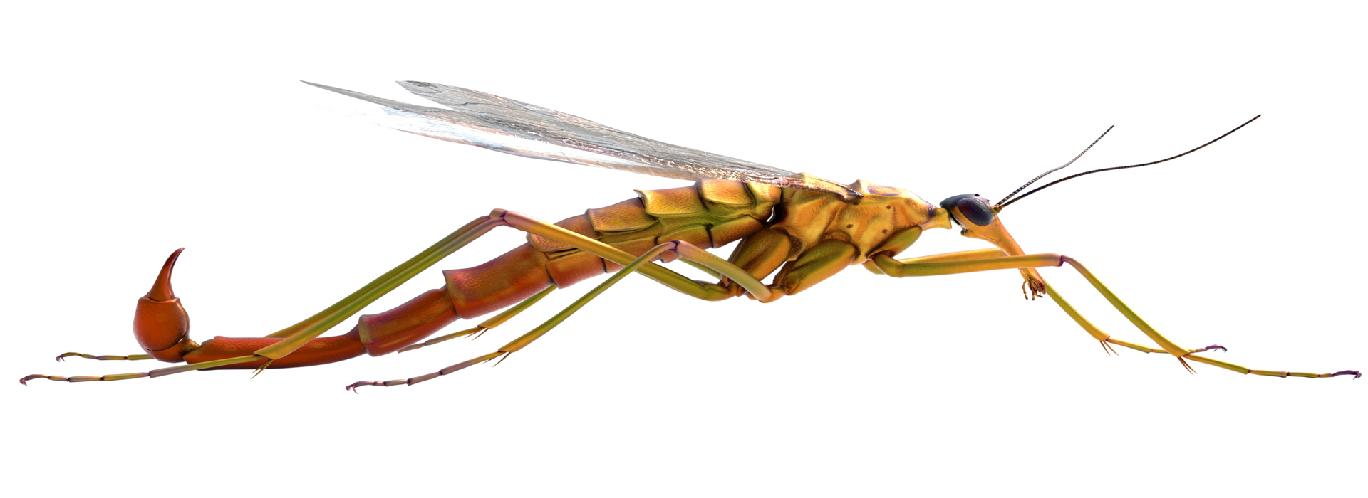 Product banner image