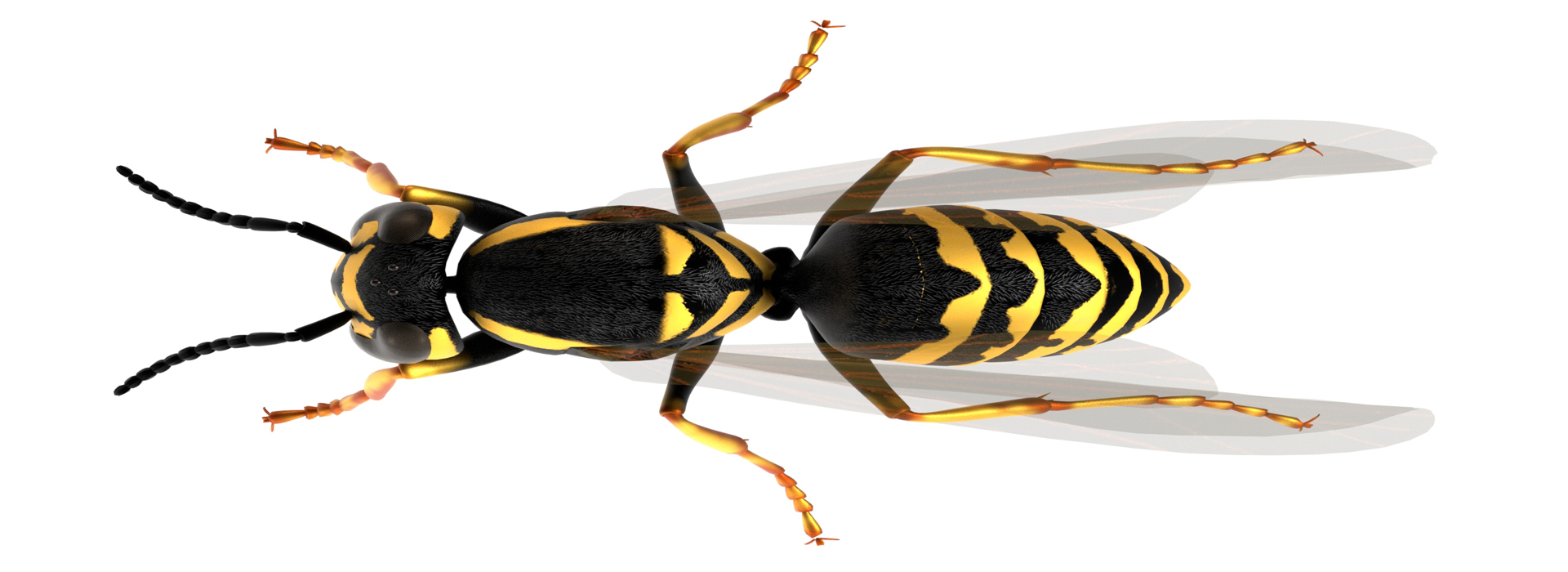 Product banner image