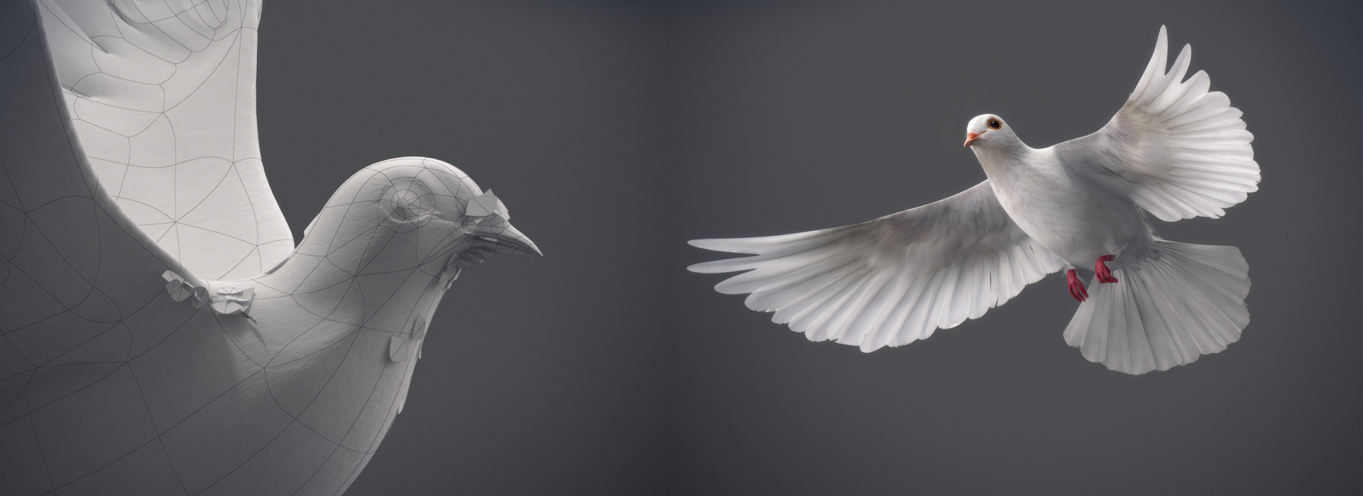 Product banner image