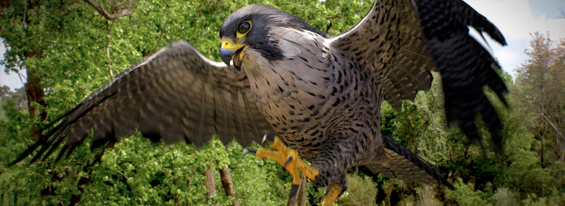 Product banner image