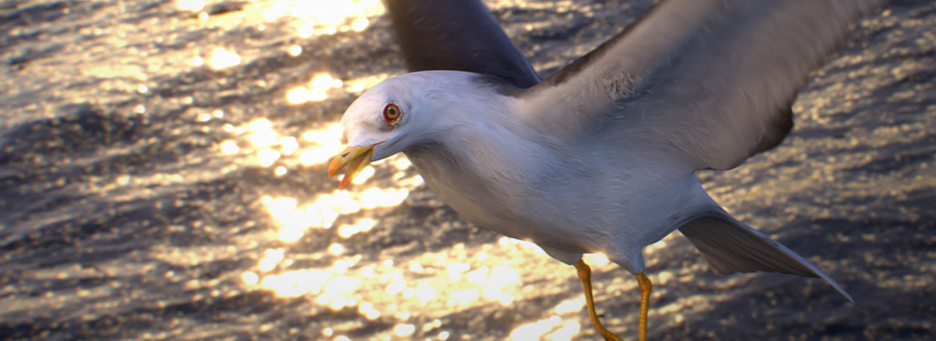 Product banner image