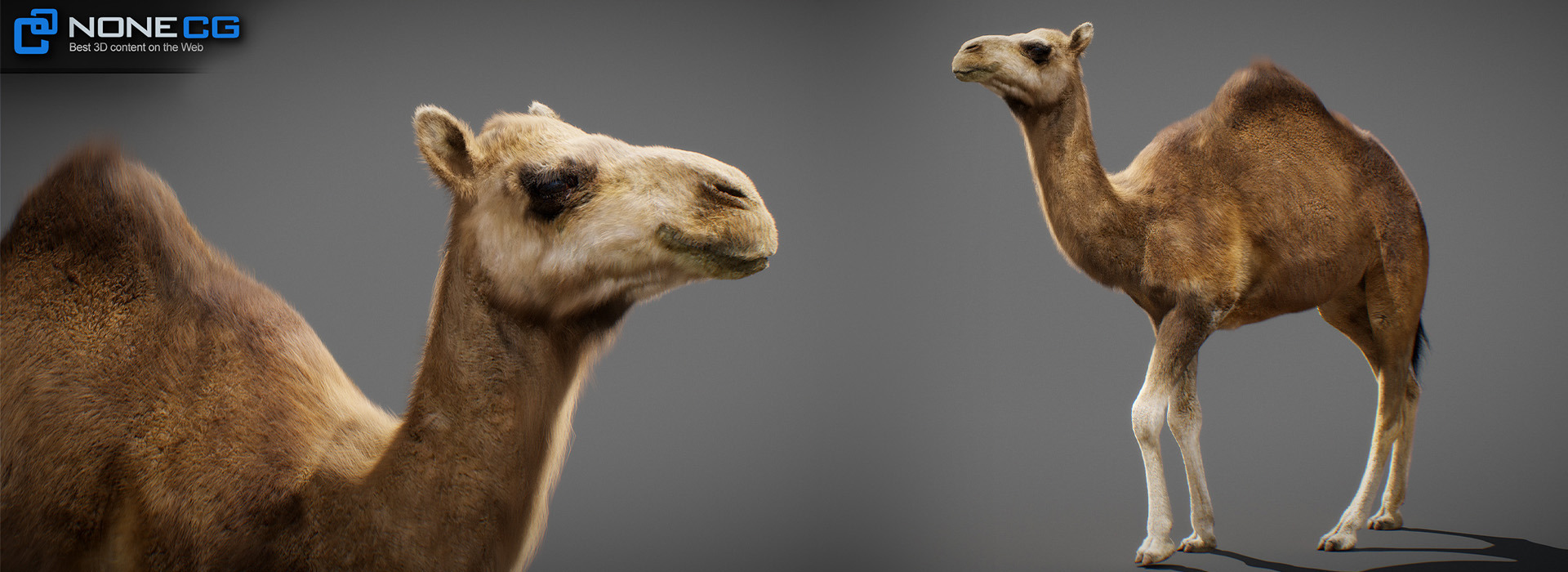 Product banner image