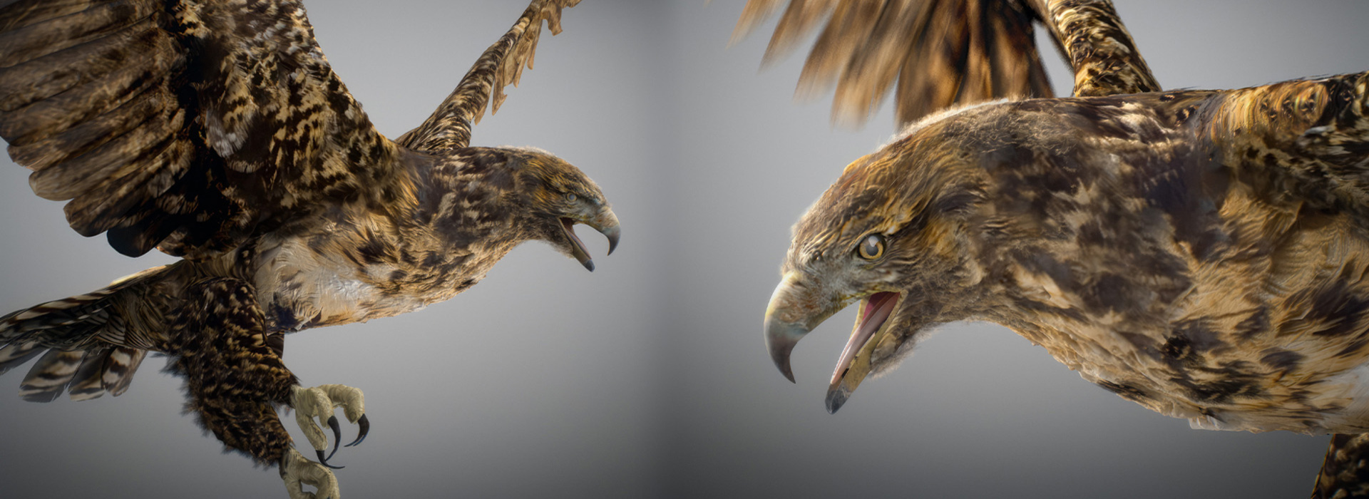 Product banner image