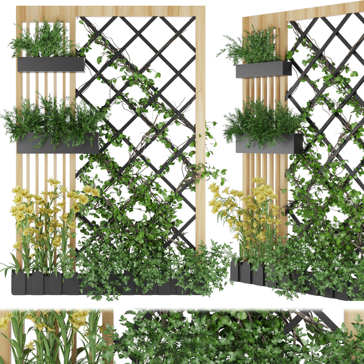 Product banner image