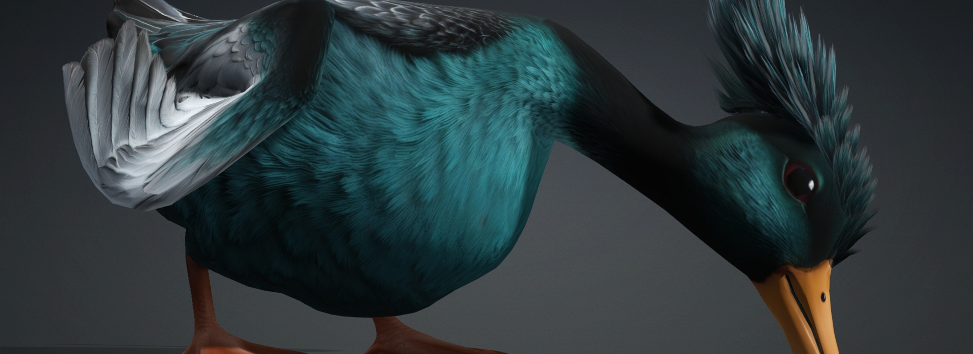 Product banner image