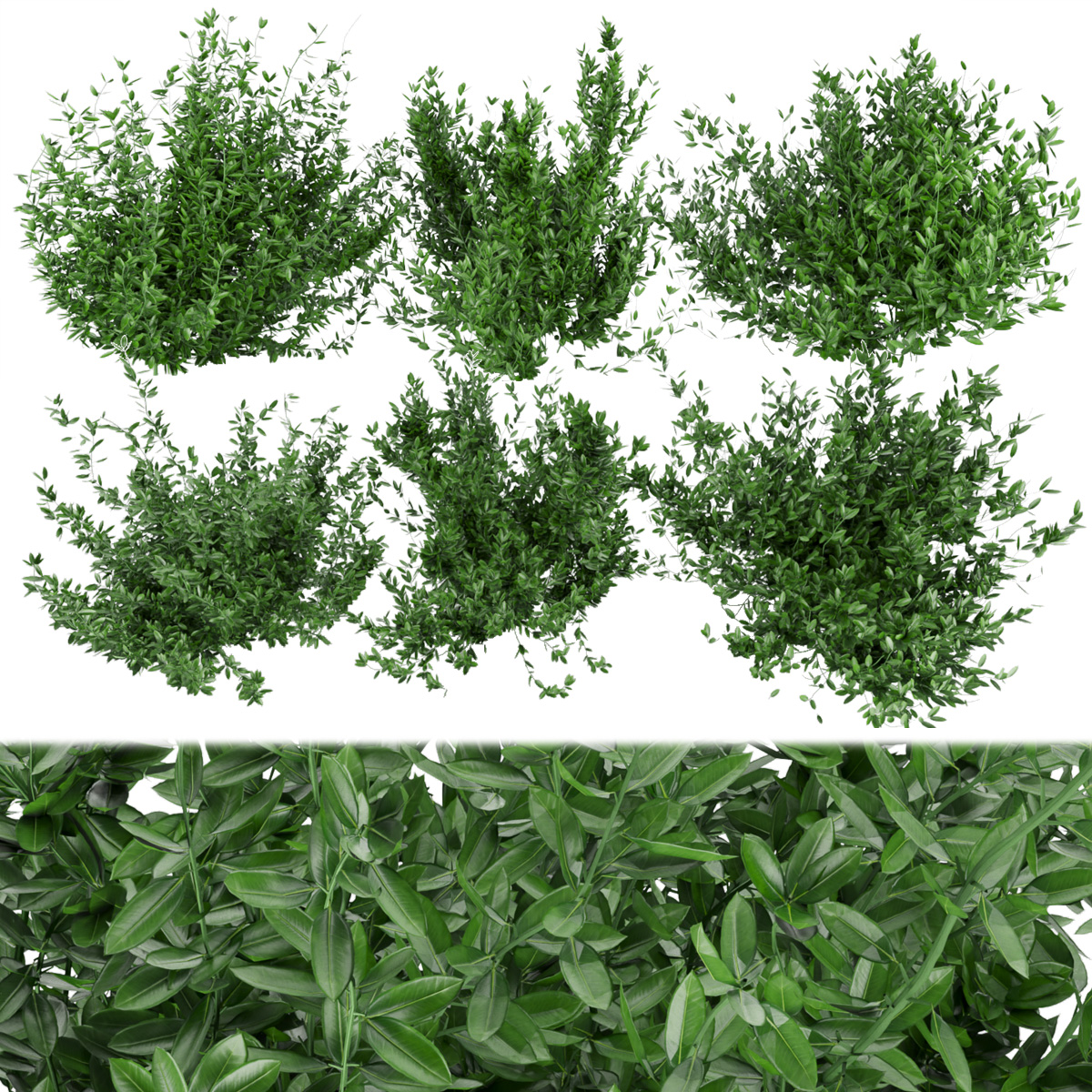 Product banner image