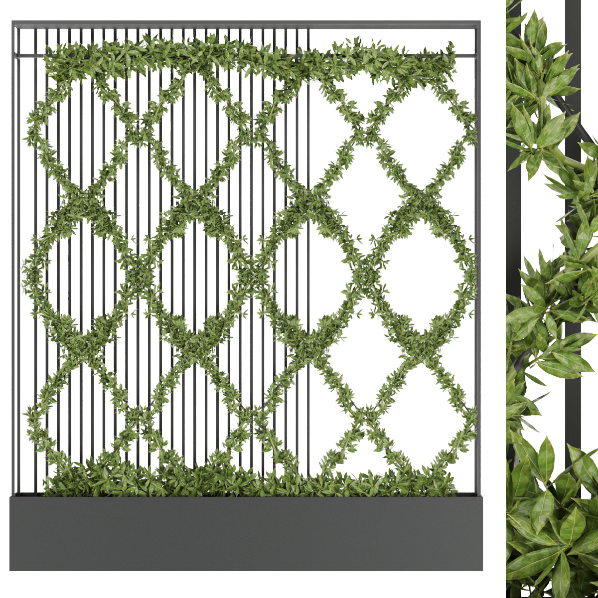Product banner image