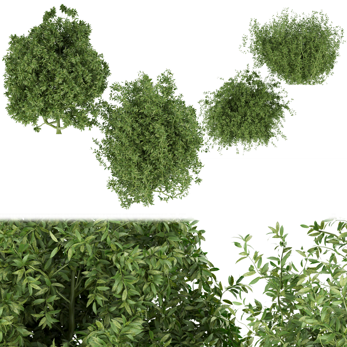 Product banner image