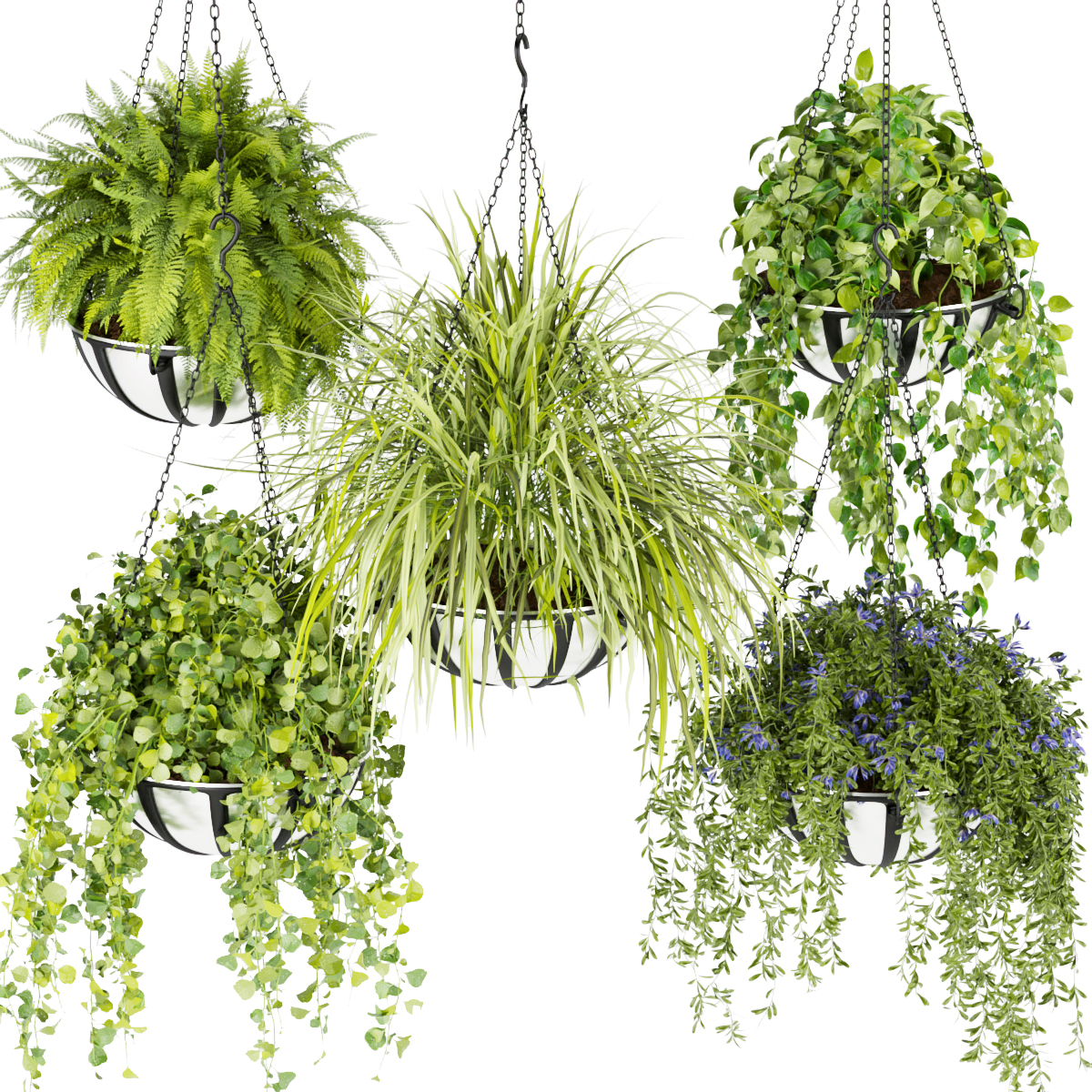 Product banner image