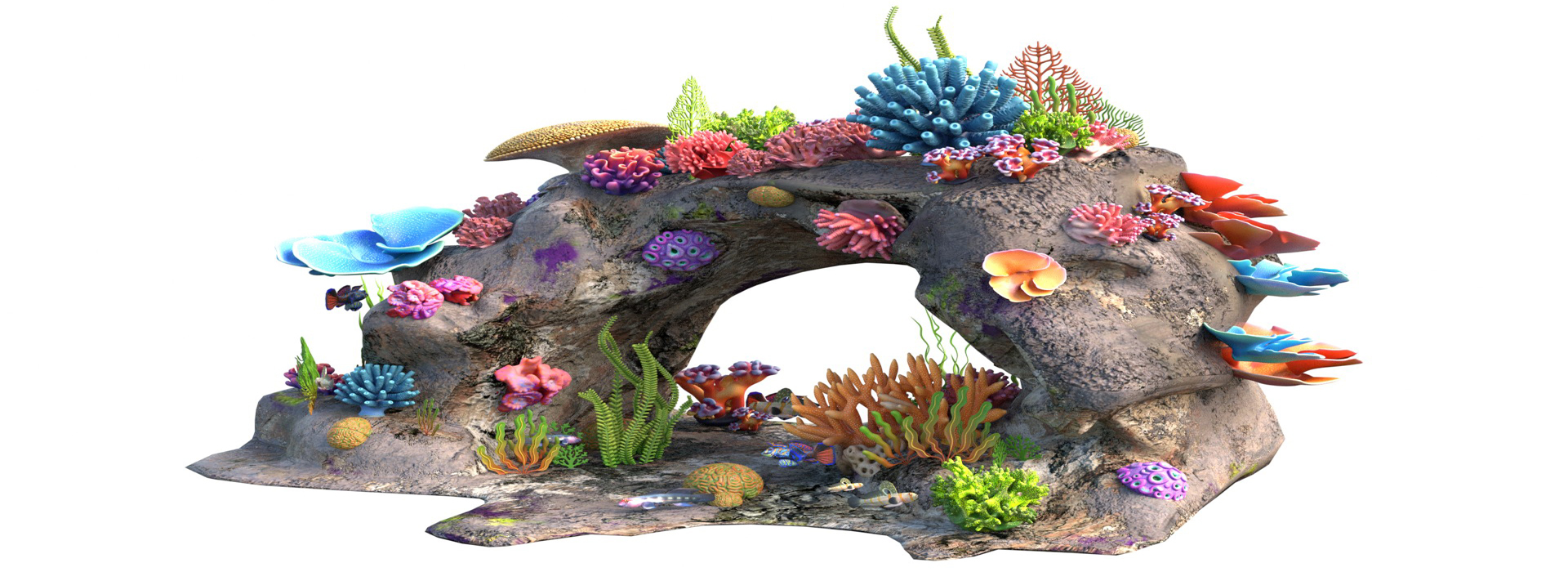 Product banner image