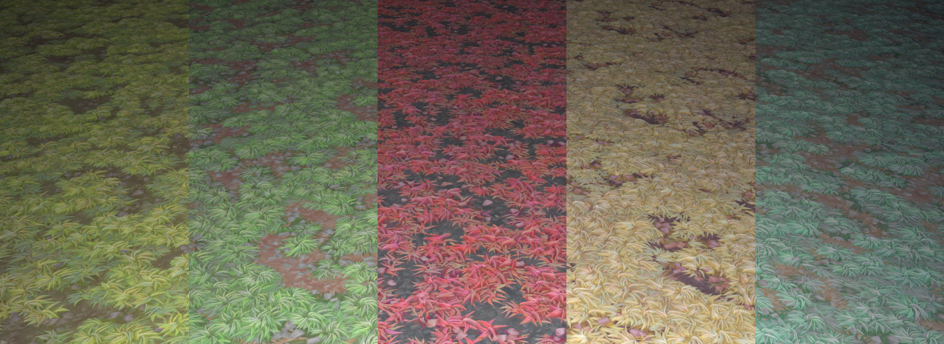 Product banner image