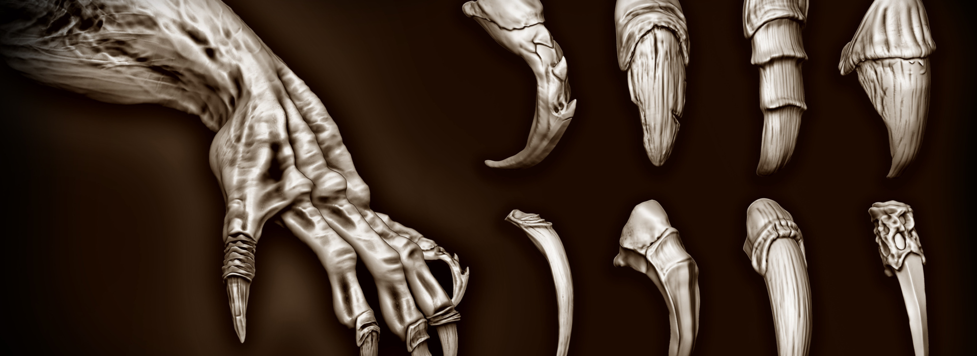 Product banner image