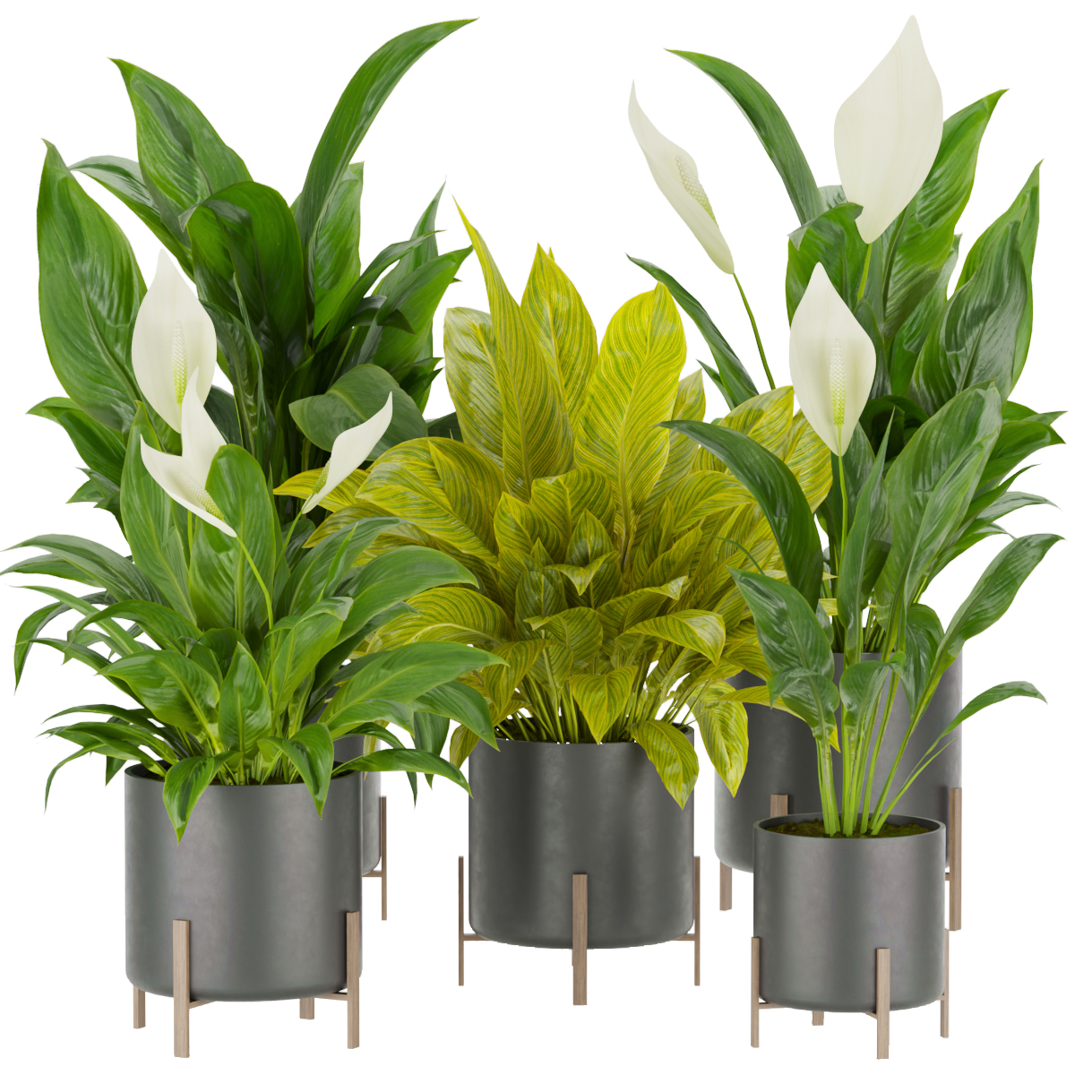Product banner image