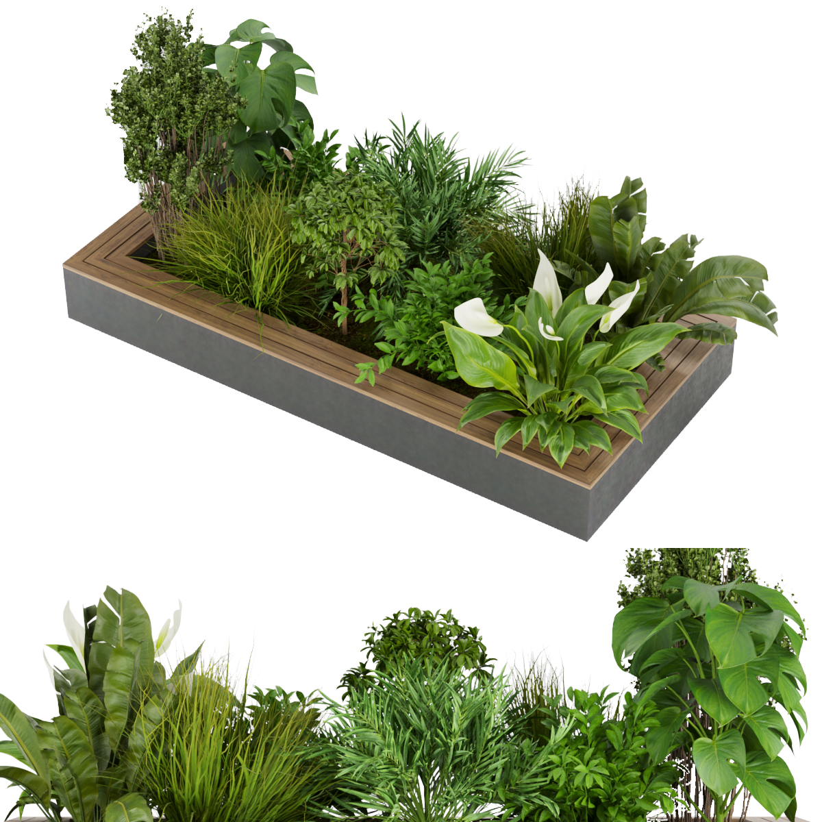 Product banner image