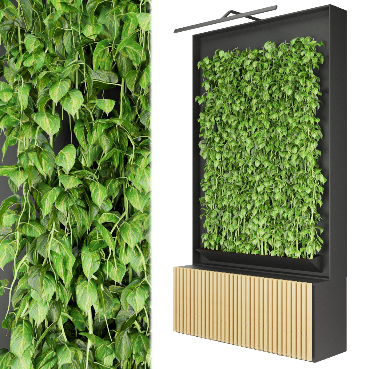 Product banner image