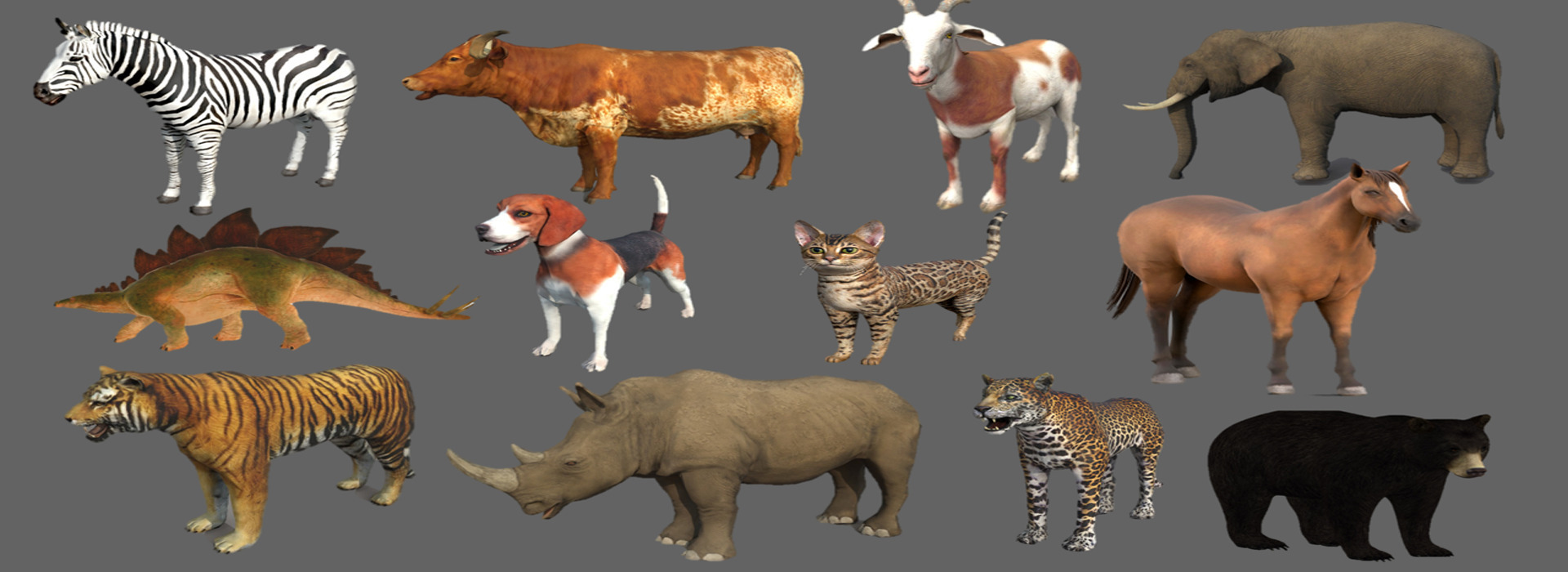 Product banner image