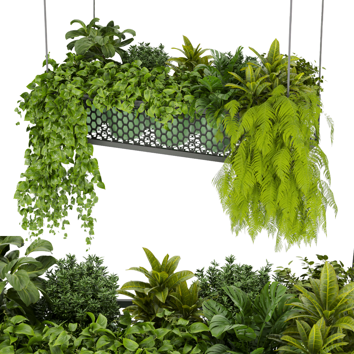 Product banner image