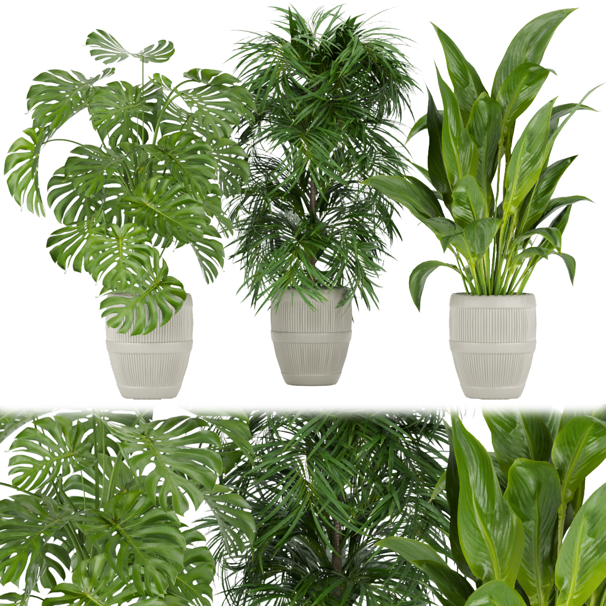 Product banner image