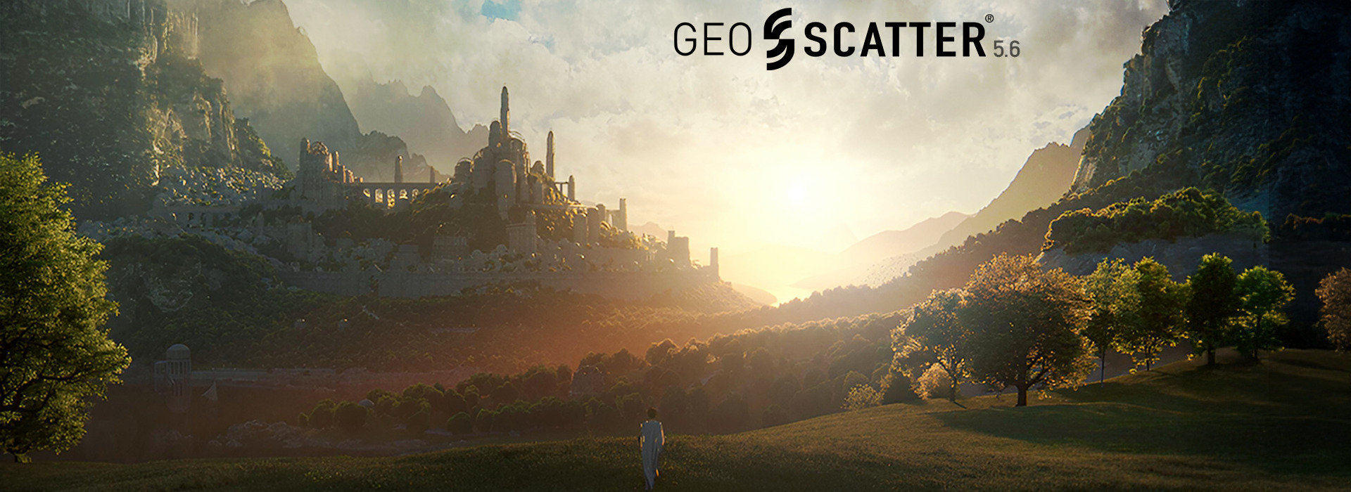 Product banner image