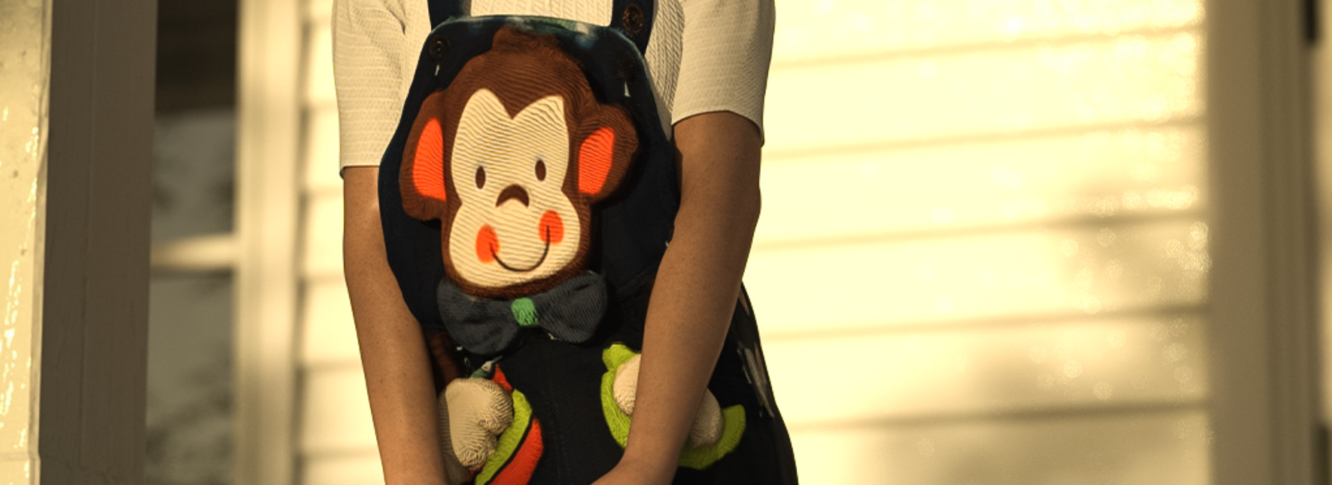 Product banner image