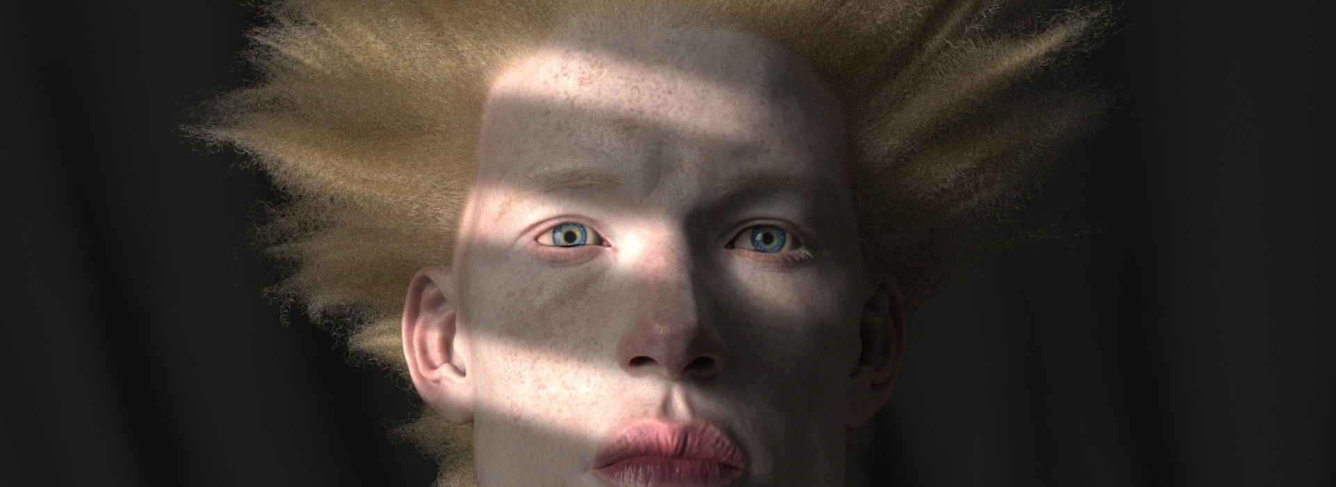 Product banner image